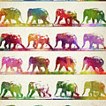 Elephant Animal locomotion 